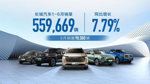 長城汽車產品價值再提升,1 6月銷量創(chuàng)新高