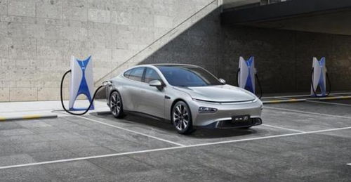 2021廣州人愛開什么車 奪冠的竟是一輛電動(dòng)車