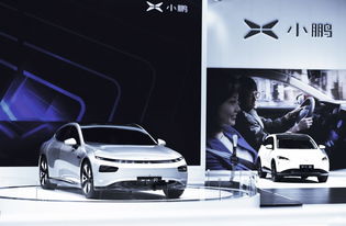 敢說(shuō)model3價(jià)格沒(méi)競(jìng)爭(zhēng)力,何小鵬有底氣,小鵬g3月銷量領(lǐng)跑新勢(shì)力