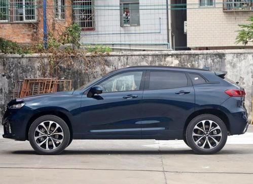 買車執(zhí)意要選wey vv7,車主說(shuō)了心里話