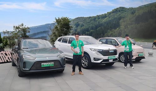 安步汽車集團(tuán) 傳統(tǒng)汽車銷售模式陷入生存疑云,如何面對(duì)